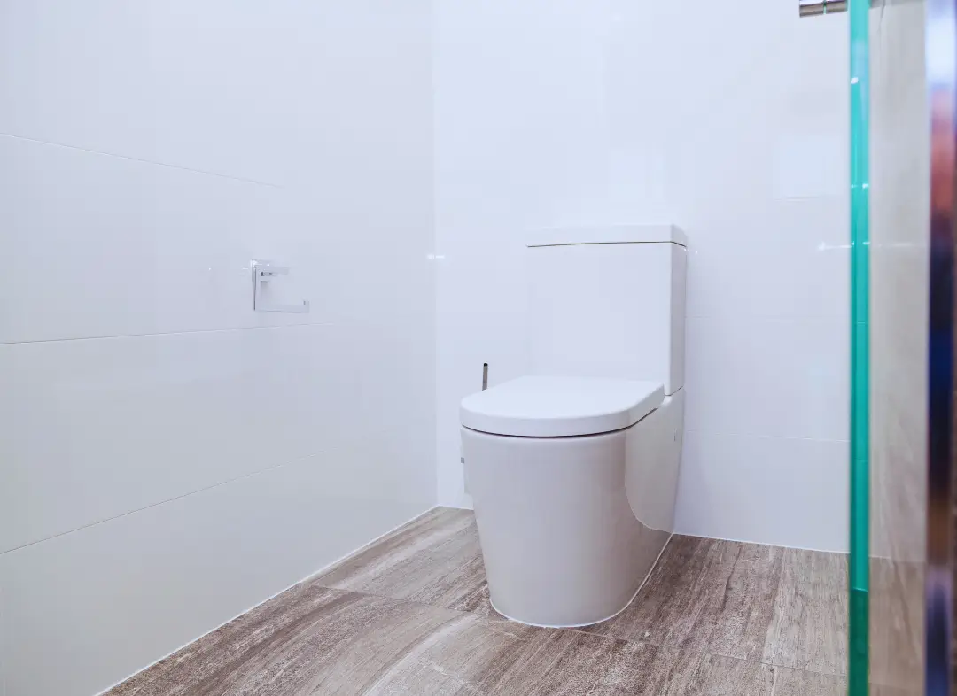 Remplacement de wc Longuenée-en-Anjou